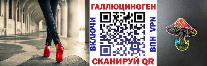 Псилоцибиновые грибы Psilocybe  кракен ссылки  Судогда 
