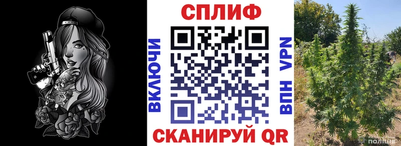 Бошки марихуана AK-47  наркошоп  Судогда 
